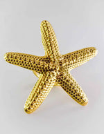 Gold starfish ring close-up on white background